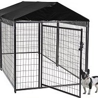 outdoor dog kennel fence