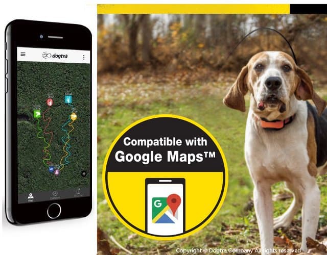 Mini Green Extra Transceiver and Collar