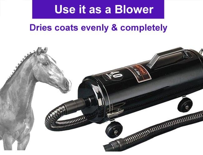 Pro -1.17 horsepower (SALE)