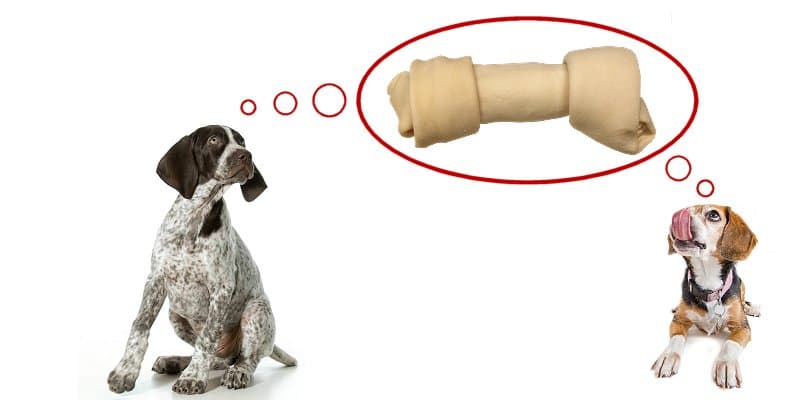 4" - 5" White Rawhide Bone