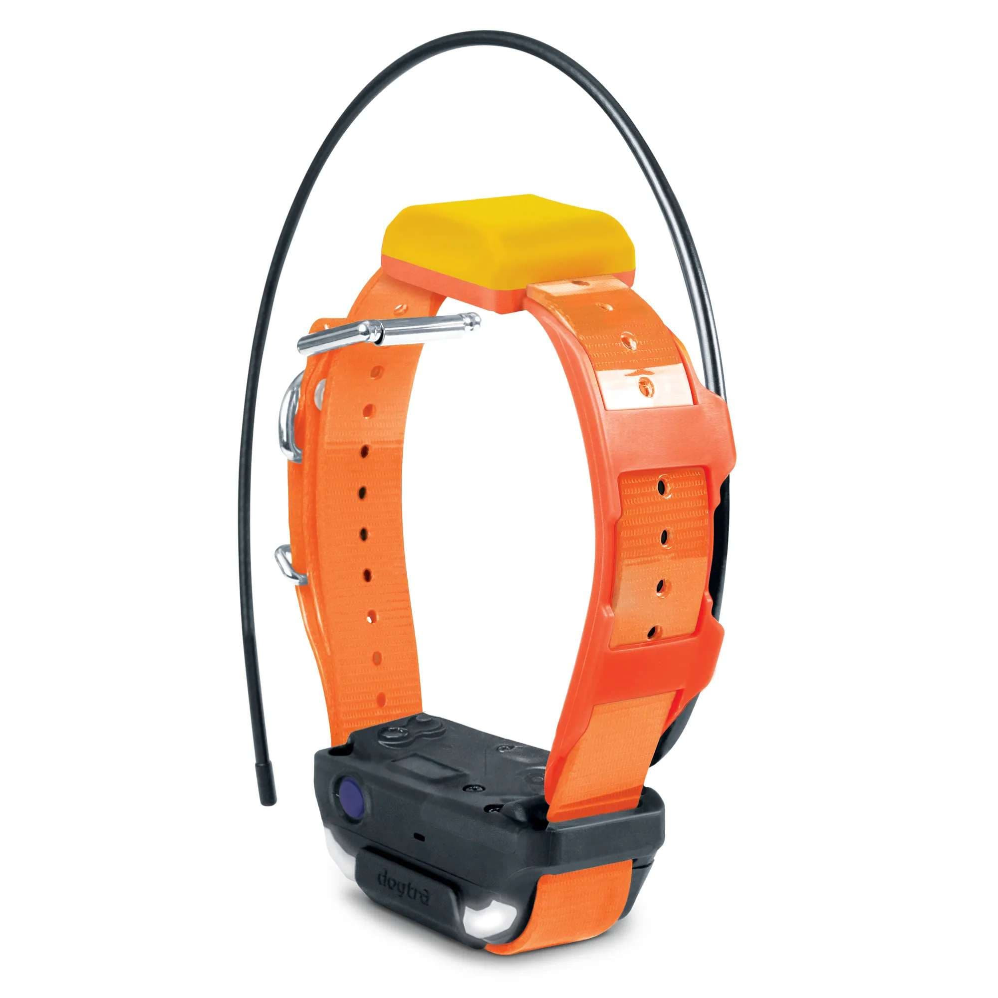 Pathfinder2 Orange Extra Tracking-Only Collar