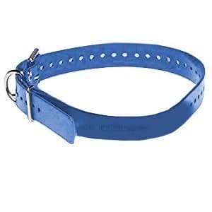 Blue Collar Strap; 1" x 30"